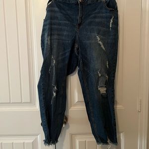 Eloquii plus size 24 distressed jeans